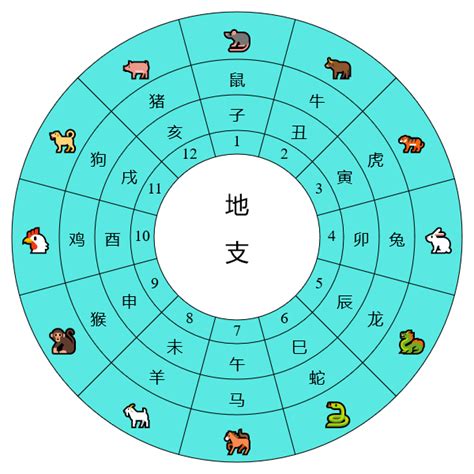 干支是什麼|《天干地支》對照表及運用方法